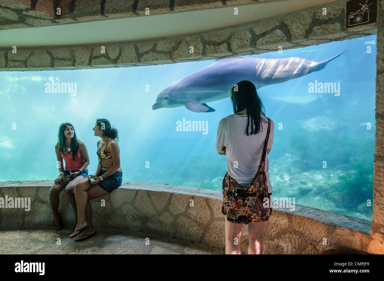 Touristen sehen ein Delphinschwimmen (Tümmler) in einem Unterwasser-Aquarium Xcarat Maya Freizeitpark südlich von Cancun und Playa del Carmen auf der mexikanischen Halbinsel Yucatana. Stockfoto