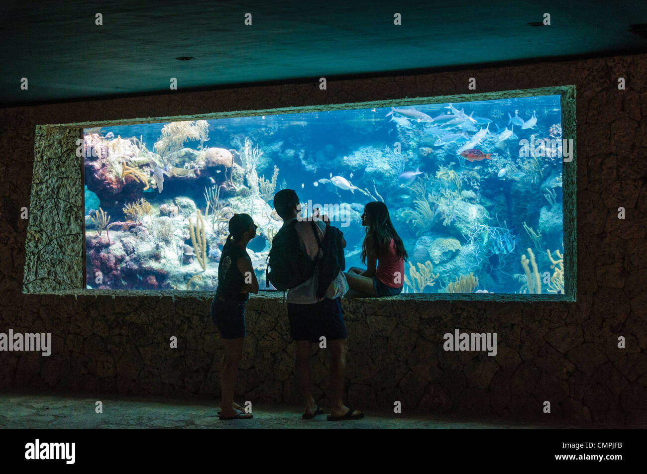 Drei Besucher Looke durch Unterwasser-Aquarium zeigt einige der Unterwasserwelt und Korallenriffe im Xcarat Maya Themenpark südlich von Cancun und Playa del Carmen auf der mexikanischen Halbinsel Yucatana. Stockfoto