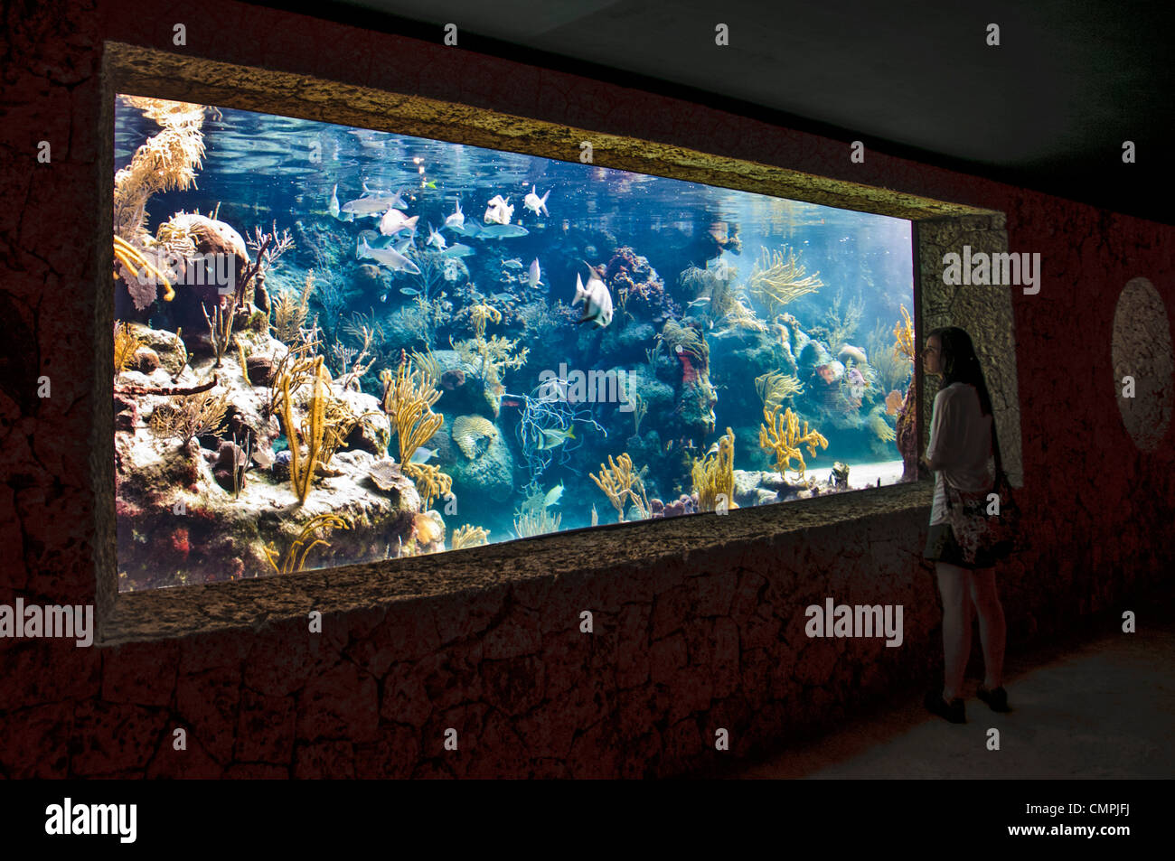 Eine Person auf der rechten Seite des Rahmens sieht durch eine Unterwasser-Aquarium Xcarat Maya Freizeitpark südlich von Cancun und Playa del Carmen auf der mexikanischen Halbinsel Yucatana. Stockfoto