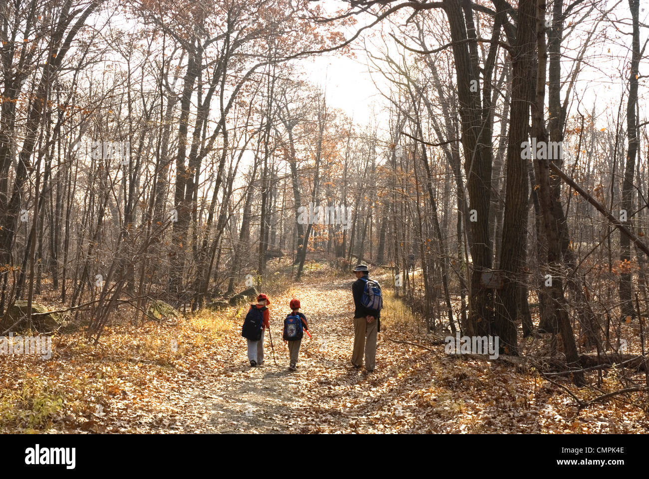 Zwei kleine Jungs und ihr Vater auf einer Wanderung in das Land im Staat New York Stockfoto