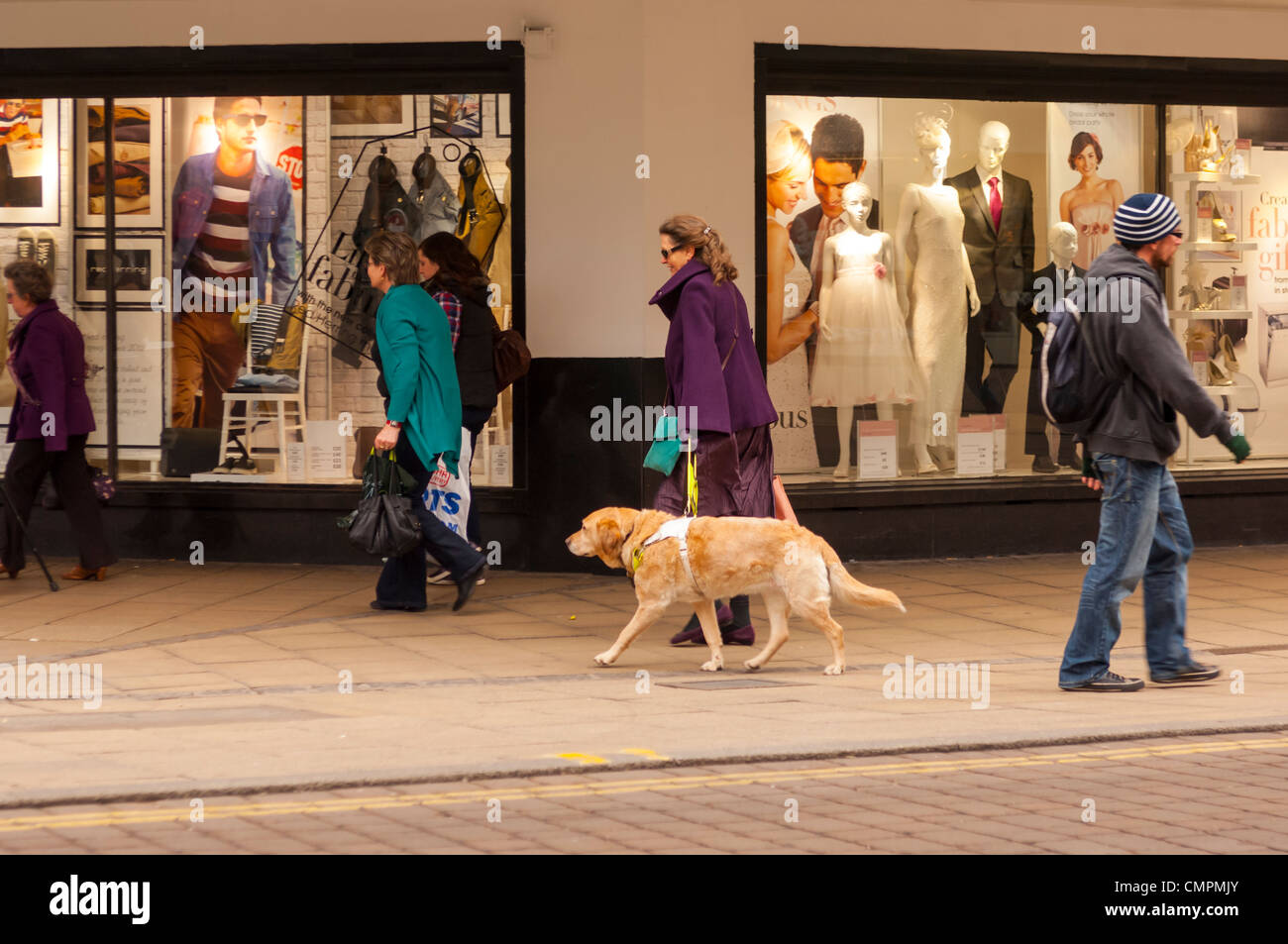 Eine blinde Frau bekommt Blei durch eine belebte Straße mit ihrem Blindenhund in Norwich, Norfolk, England, Großbritannien, Uk Stockfoto