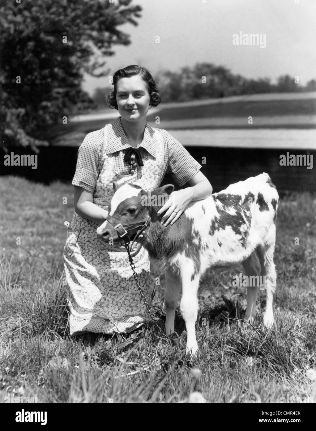 1940S 1950S BÄUERIN IN SCHÜRZE KNIEND AUF DER WIESE MIT JUNGEN JERSEY KALB Stockfoto