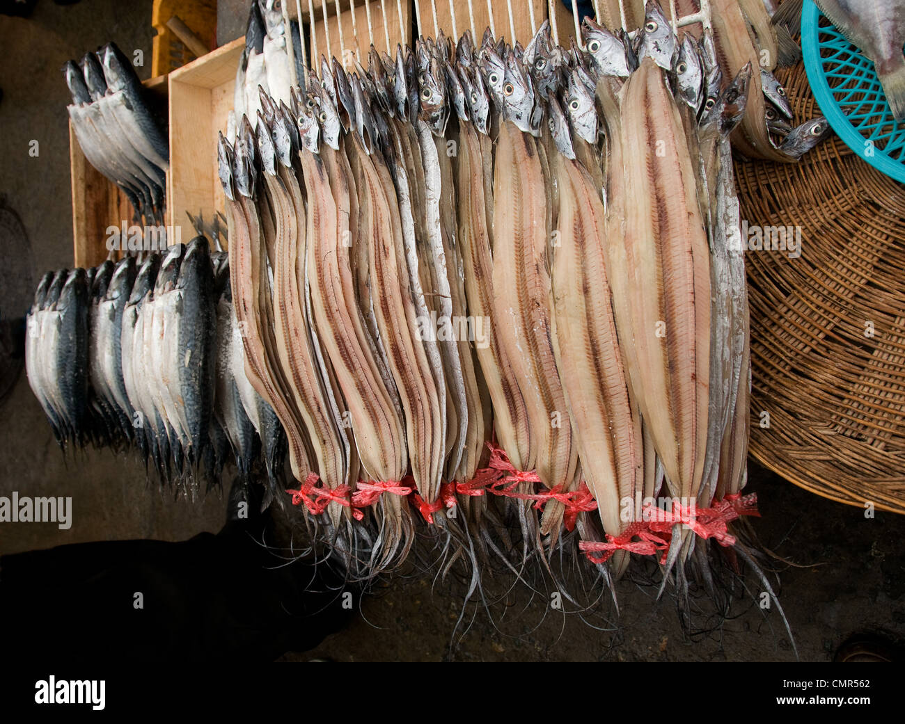 Jagalchi Fischmarkt Buson S. Korea Jagalchi Stockfoto