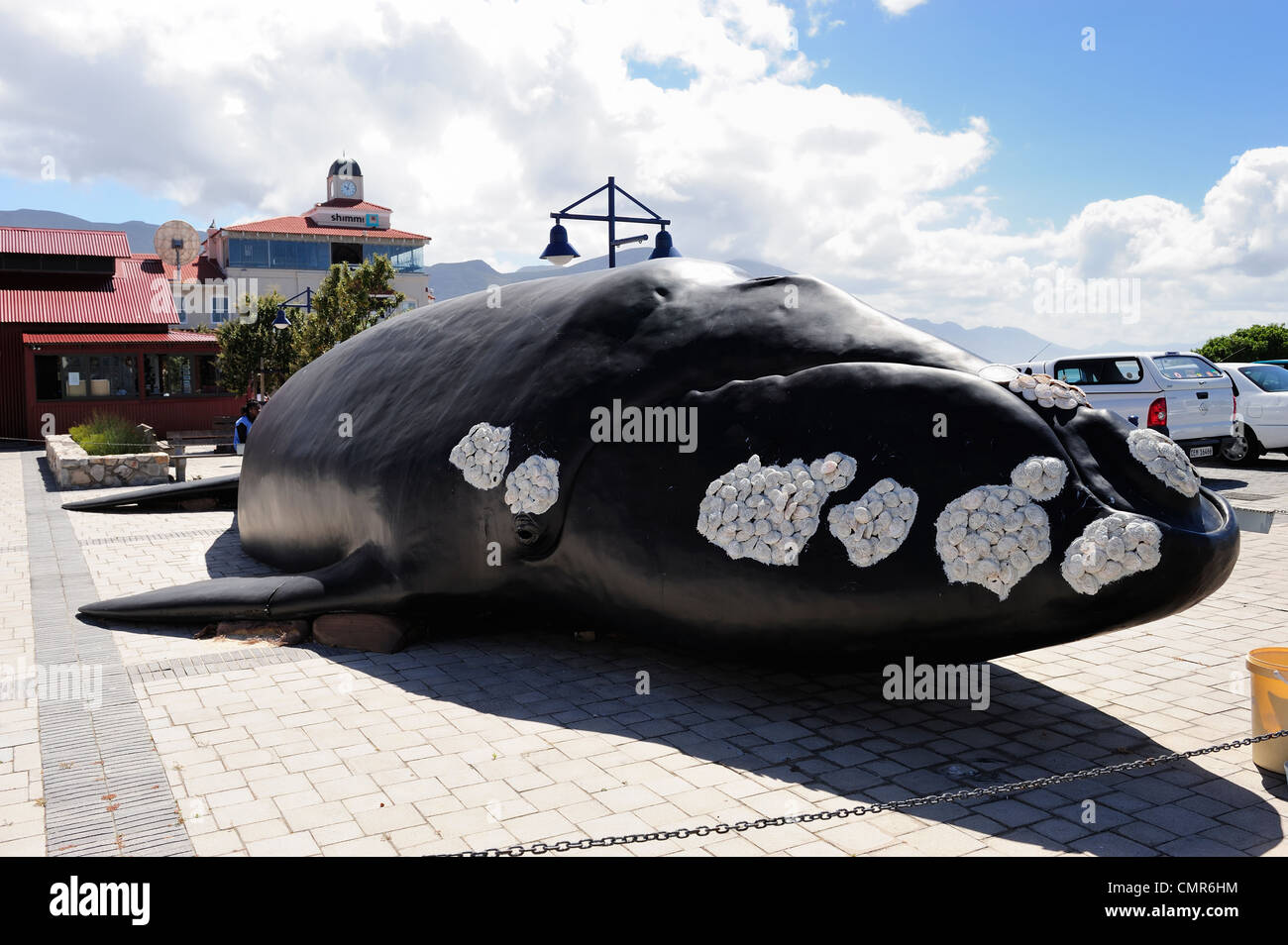 Leben Größe Replik Wal außerhalb Walfangmuseum in Hermanus an der Walker Bay, Western Cape, Südafrika Stockfoto