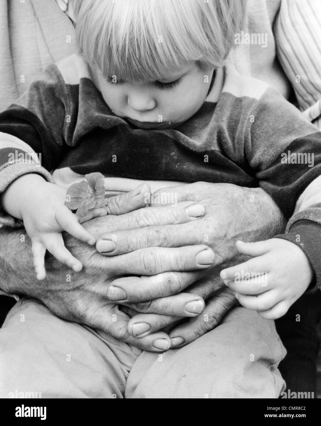 1980ER JAHRE NAHAUFNAHME DER KLEINE JUNGE SITZUNG BLICKTE AUF BLUME HÄLT ER MIT GROßVATERS ARME UM IHN GESCHLUNGEN Stockfoto