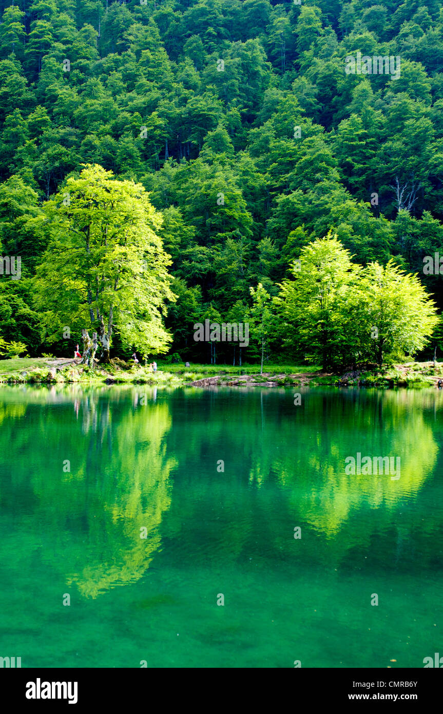 Grün auf grün Reflexionen an den See Lac de Bethmale in den Midi-Pyrenäen in Frankreich genannt. Stockfoto