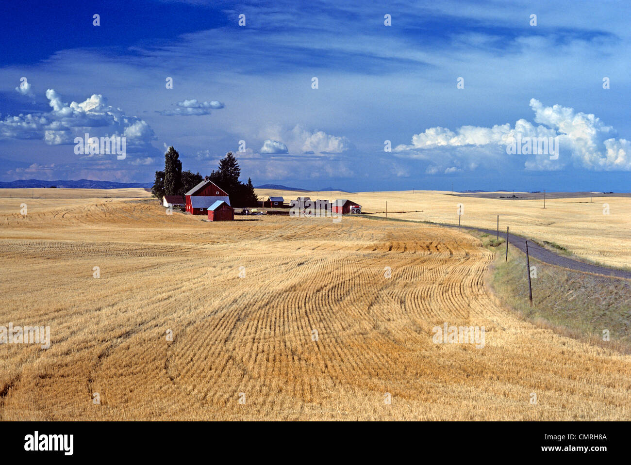 1990ER JAHRE WEIZENFARM NACH DER ERNTE EASTERN WASHINGTON STATE USA Stockfoto