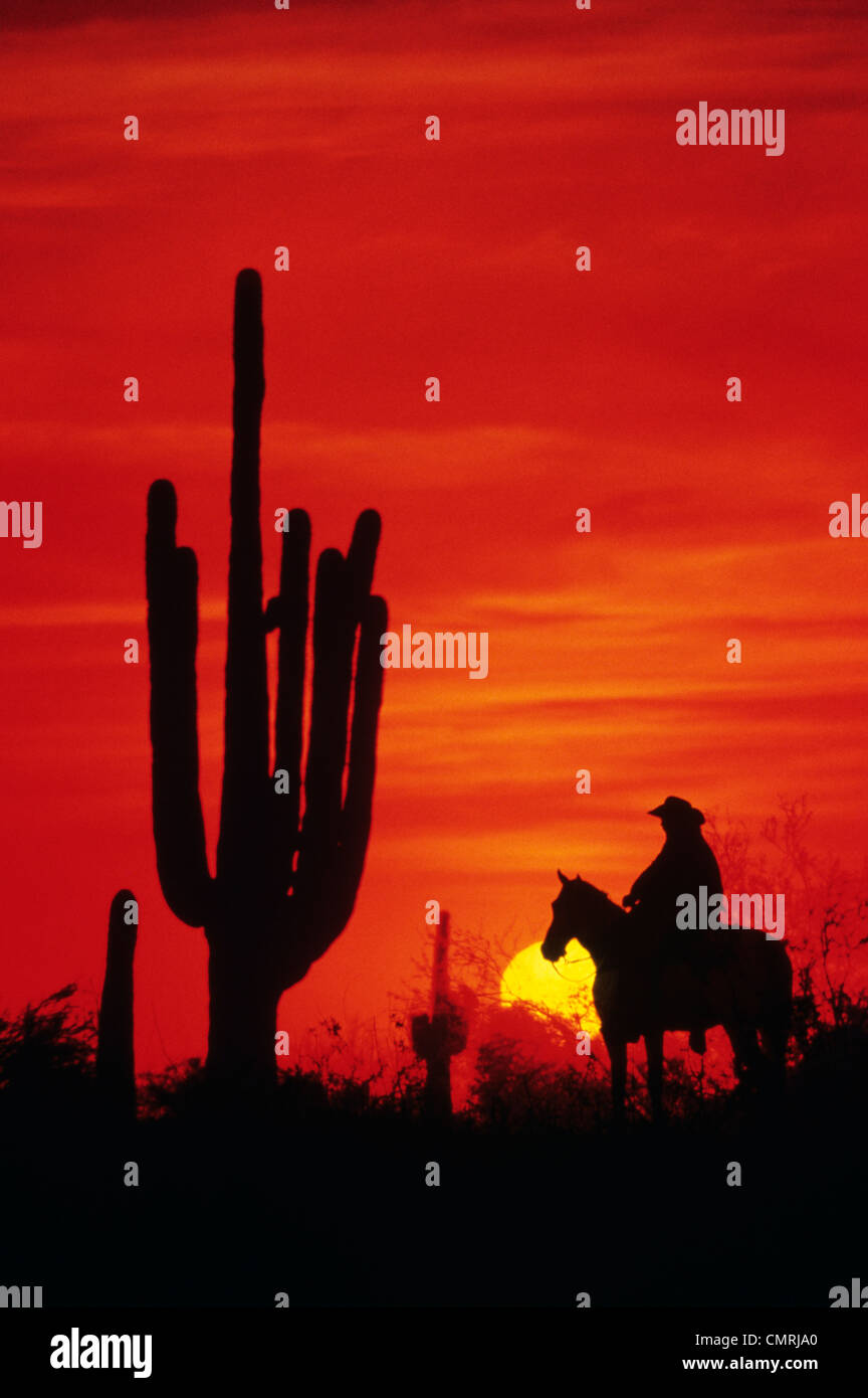 1980ER JAHRE COWBOY AUF PFERD VON CACTUS SILHOUETTE IM ABENDROT Stockfoto