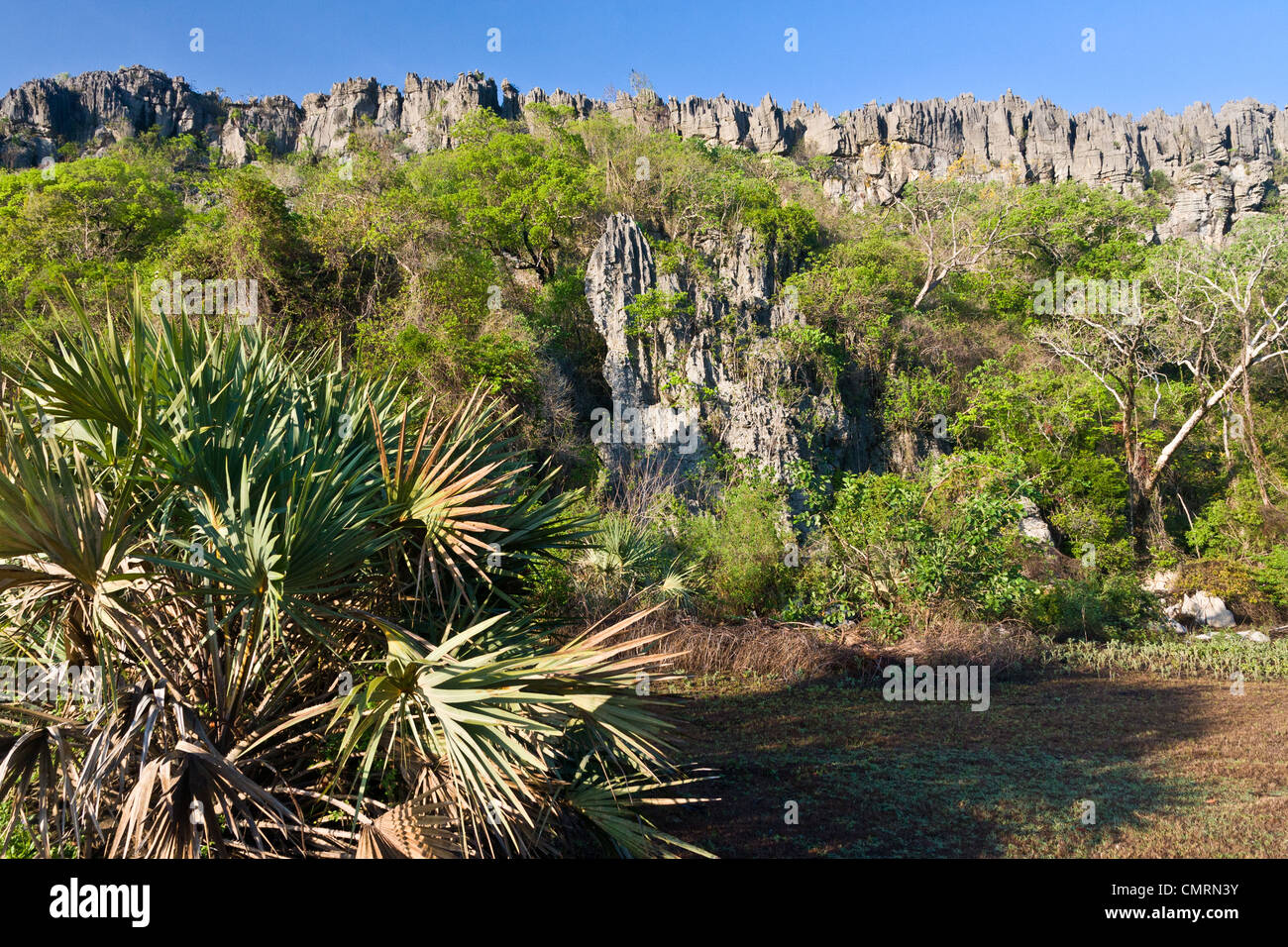 Ankarana Massif, Norden von Madagaskar Stockfoto