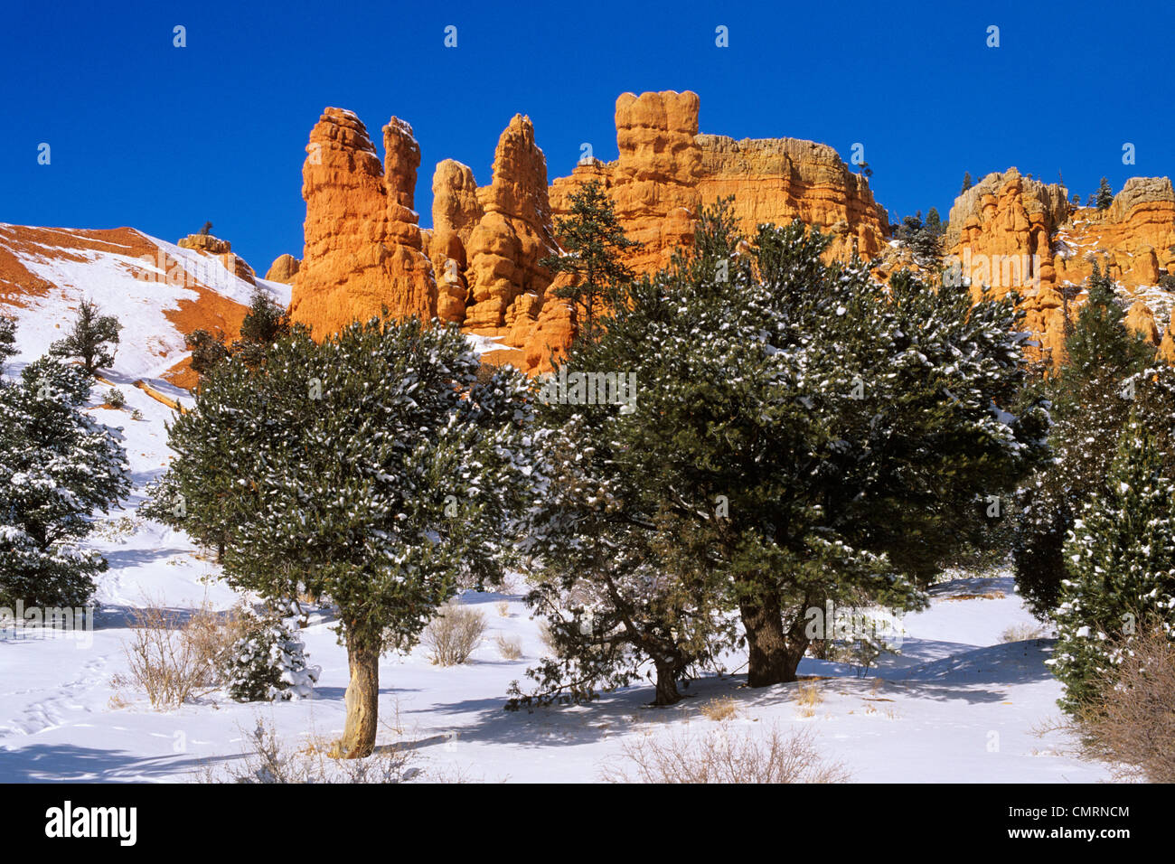 PANGUITCH UT RED CANYON DIXIE NATIONAL FOREST Stockfoto