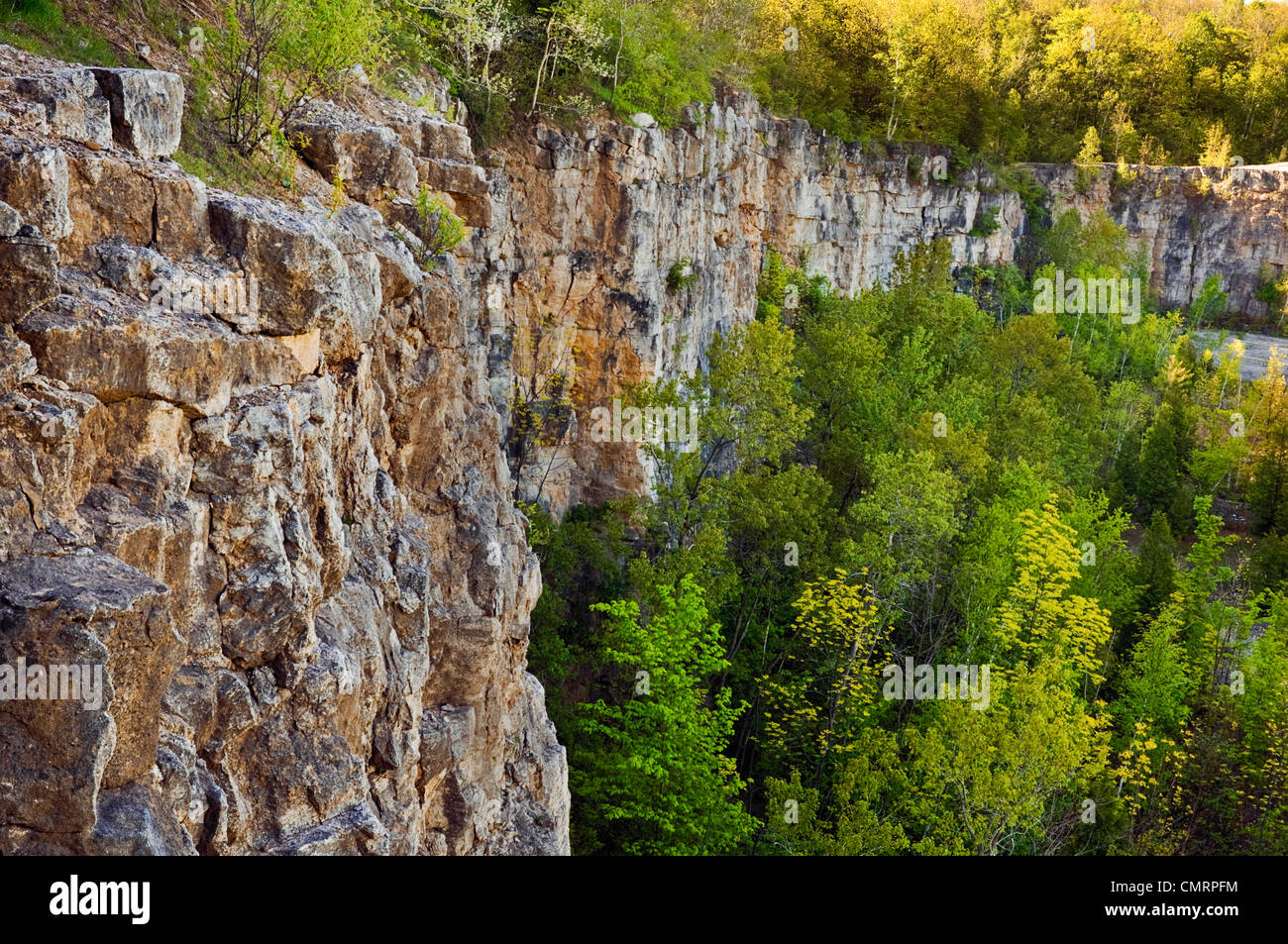 Niagara Escarpment Kalkstein Klippen von Milton Heights in Kelso, Glen Eden Conservation Area in Halton Region in der Nähe von Milton, ON, Canada Stockfoto