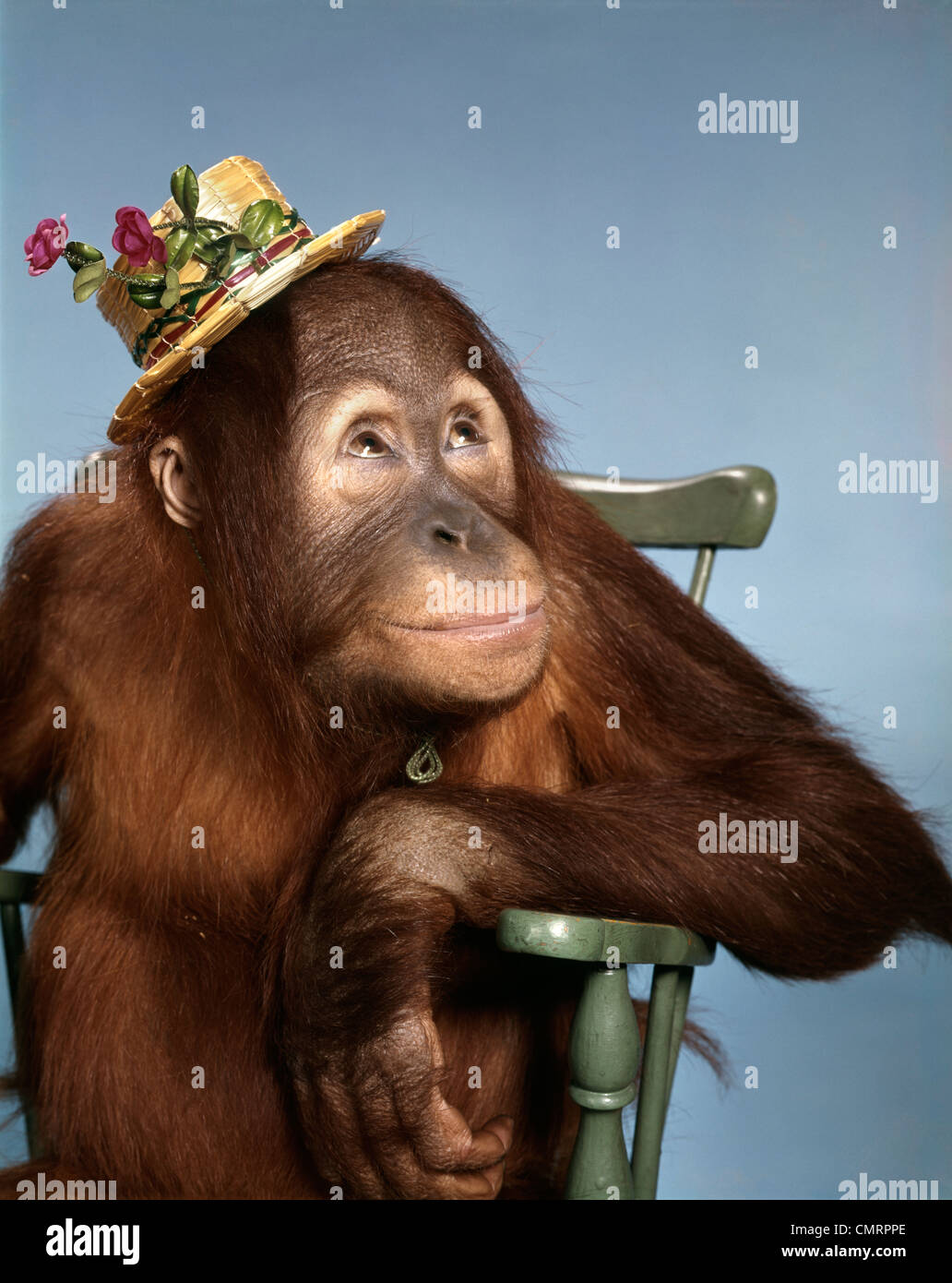 1960 1960S RETRO-MONKEY HUT STUHL PARTY Stockfoto