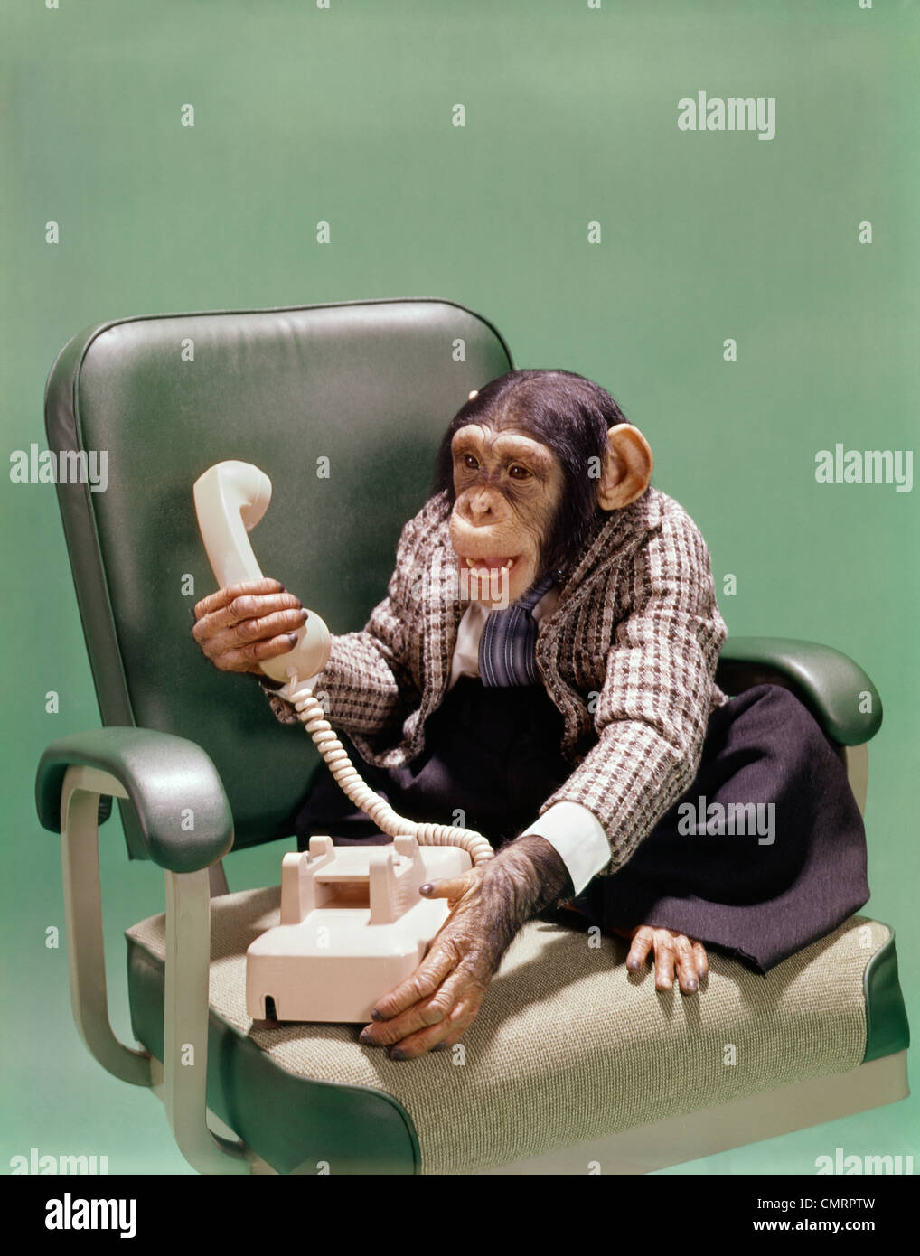1970 1970S RETRO-SCHIMPANSEN TRAGEN BUSINESS-ANZUG SITZEN IM BÜRO STUHL MIT TELEFON LUSTIGE COMICFIGUR Stockfoto