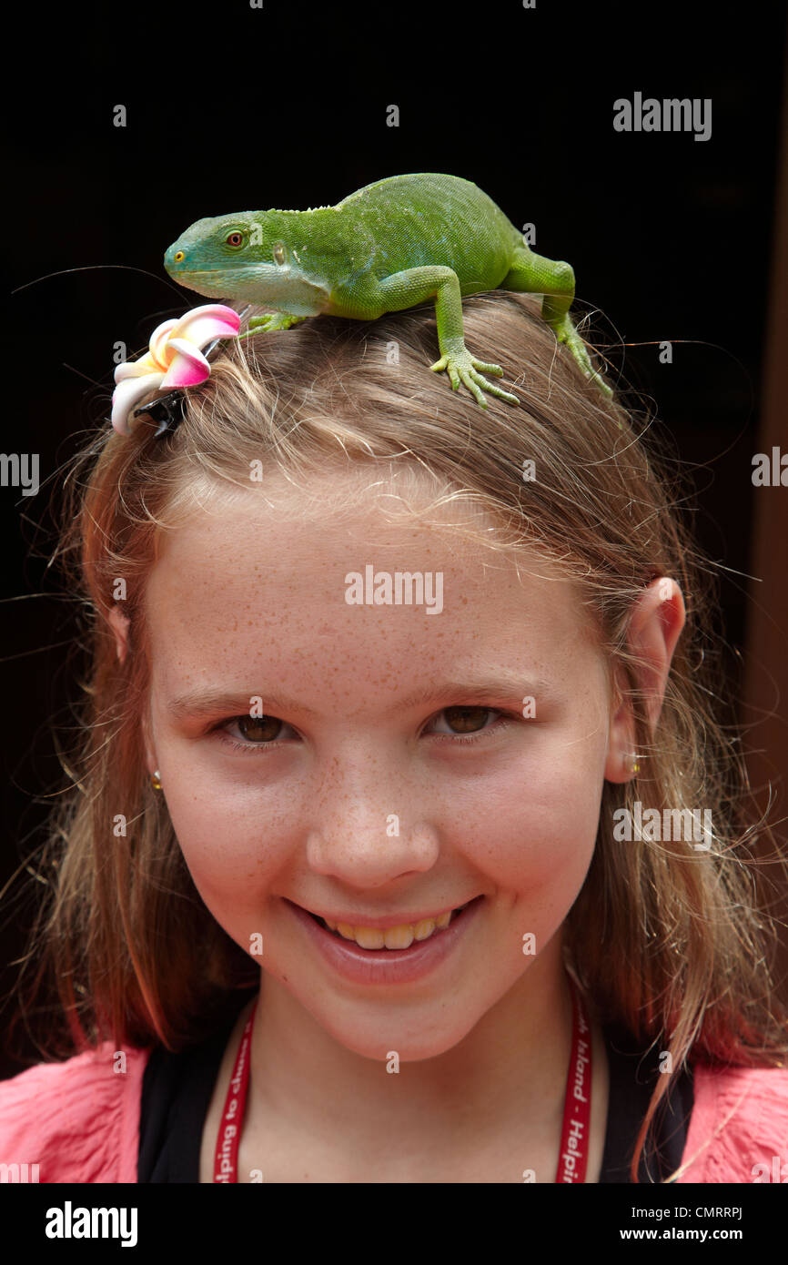 Mädchen und weibliche Fidschi gebändert Leguan (Brachylophus Fasciatus), Kula Eco Park, Coral Coast, Viti Levu, Fidschi, South Pacific Stockfoto