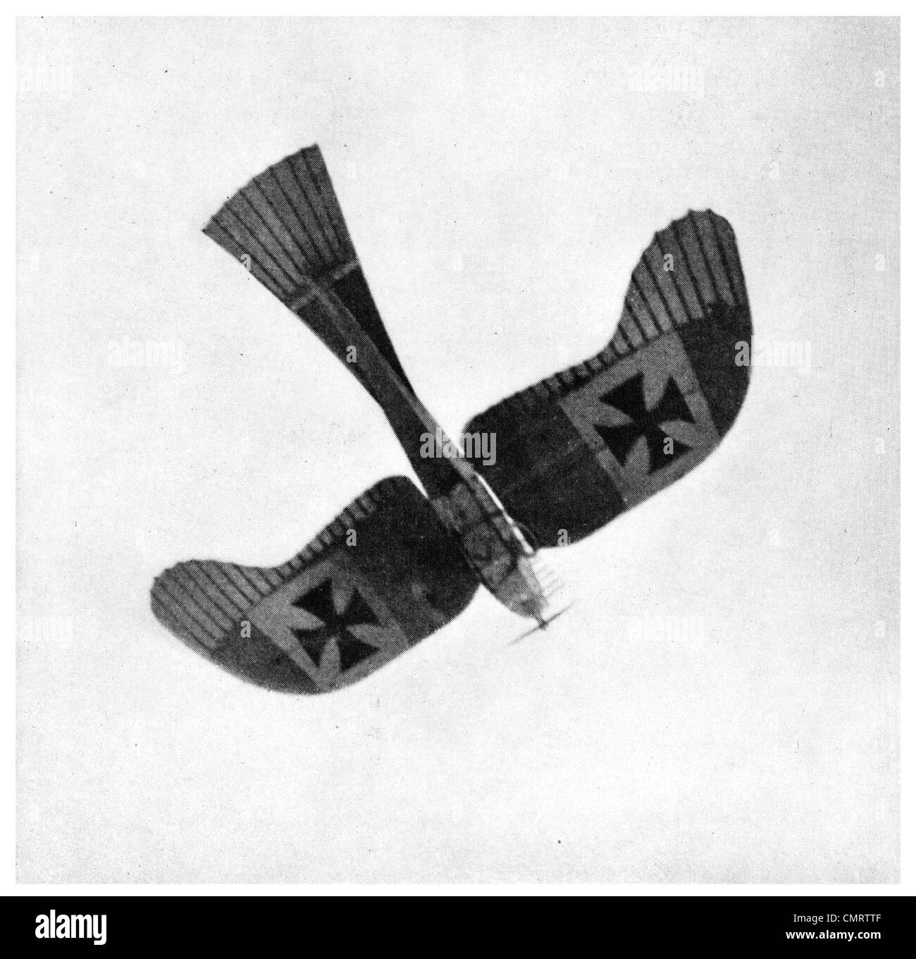 1918 Etrich Taube Flugzeug Deutsch kämpfen Eindecker Luftfahrzeug Heck Luftfahrt Stockfoto