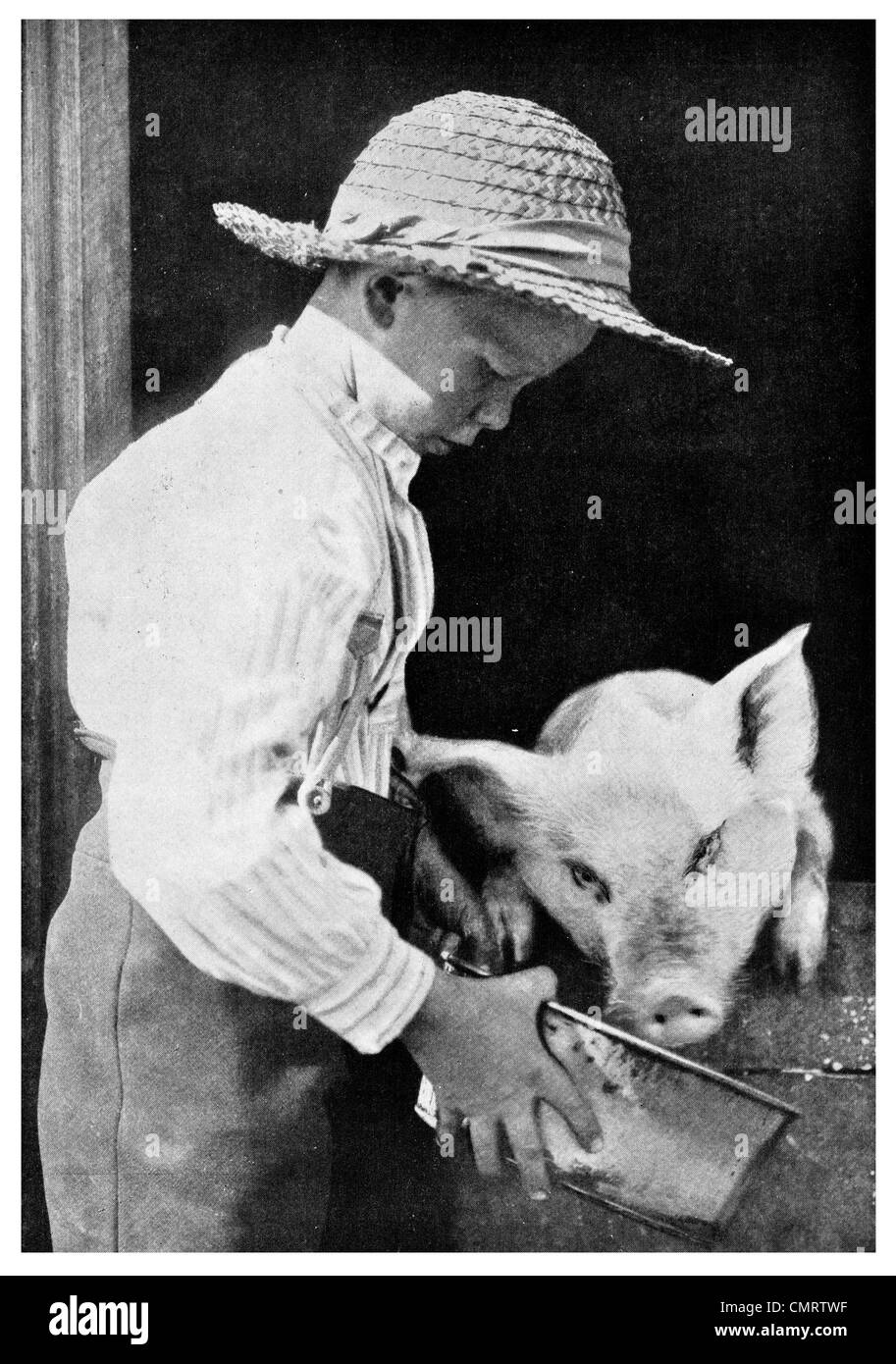 1918 Schwein Schwein reine Rasse Hand Schmalz Speck Schweinefleisch Bauer Bauernhof uns gefüttert Stockfoto