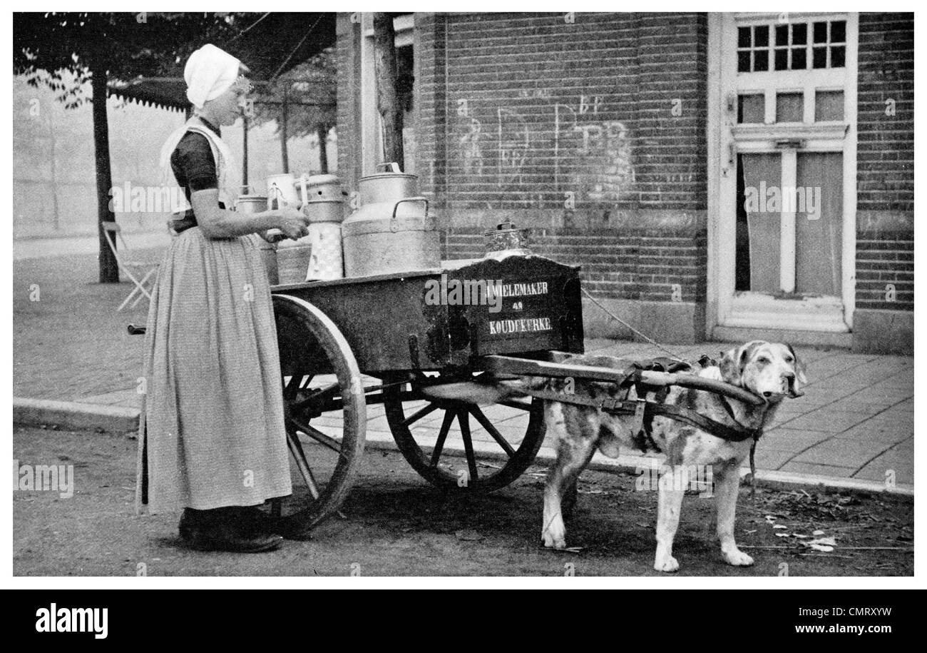 1923 Morgen Milch Delivey Holland Hund Warenkorb Niederländisch Stockfoto