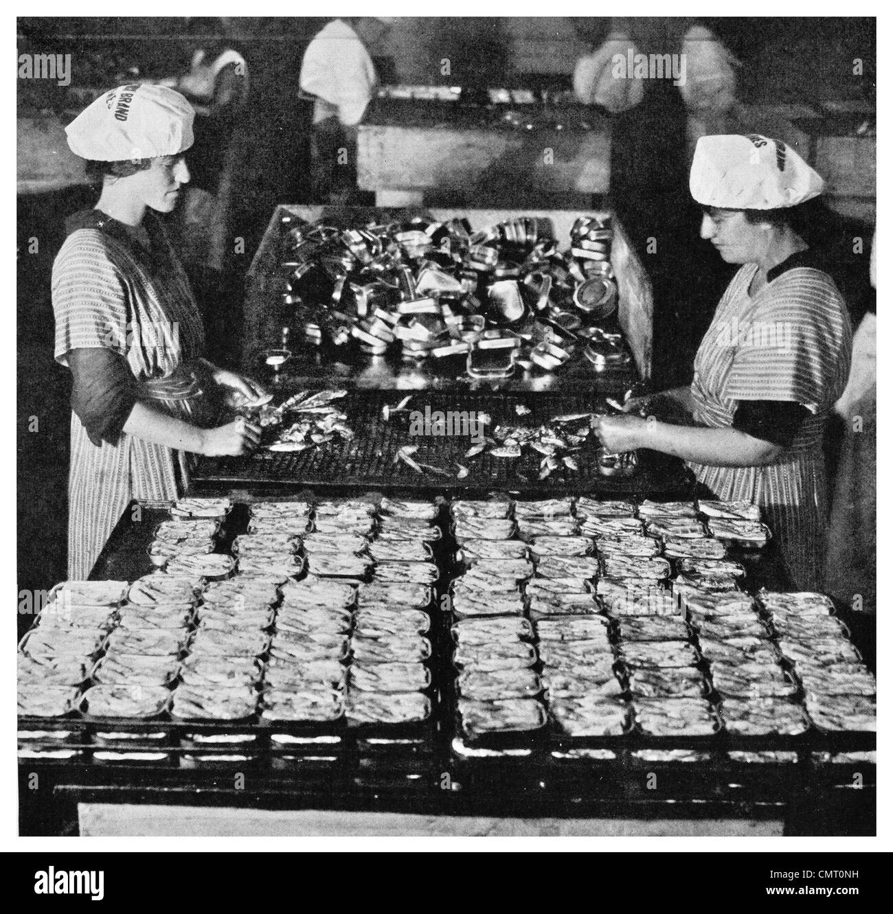 1923-Verpackung Sardinen In Kanada Stockfoto