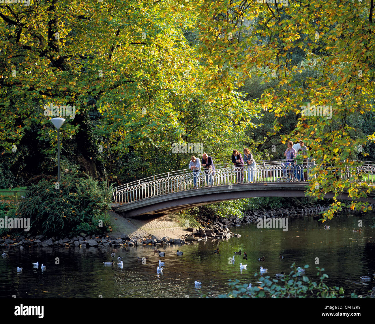 Botanischen Garten Rombergpark in Dortmund, Ruhrgebiet