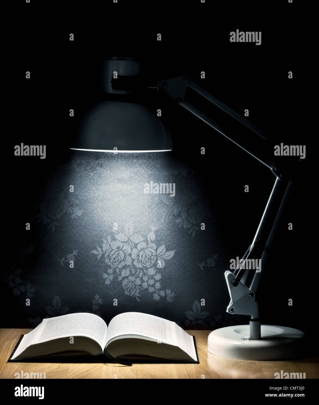 Lampe, die ein offenes Buch beleuchtet Stockfoto