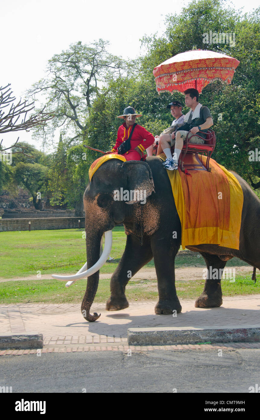 Thailand Ayutthaya. Phra mongkonbophit. touristische Sehenswürdigkeiten Elefantenreiten mit lokalen mahut (Treiber). Unesco Stockfoto