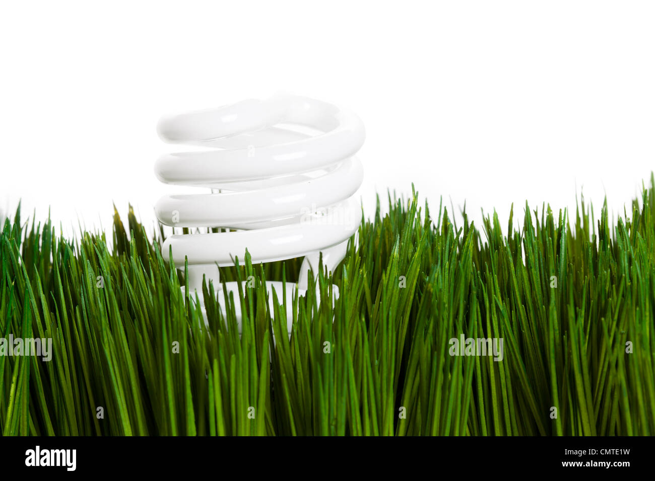 Kompakte Leuchtstoff Glühlampe und grasgrün Stockfoto