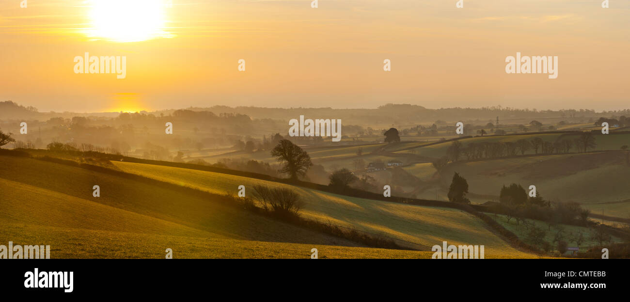 Felder in der Nähe von Kenton, Devon, England, UK, Europa Stockfoto