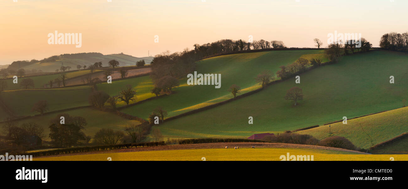 Felder in der Nähe von Kenton, Devon, England, UK, Europa Stockfoto