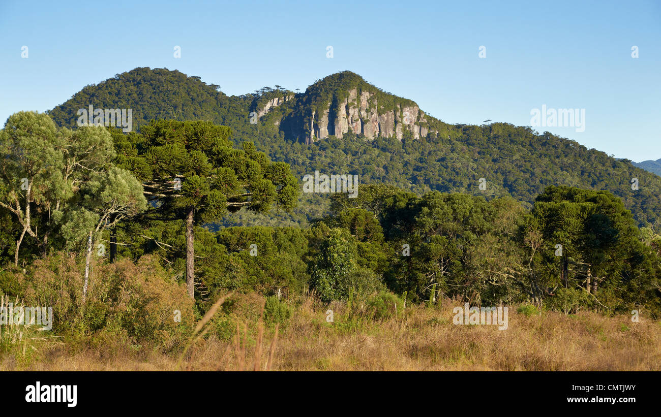 In der bergigen Region der südlichen Santa Catarina Stockfoto