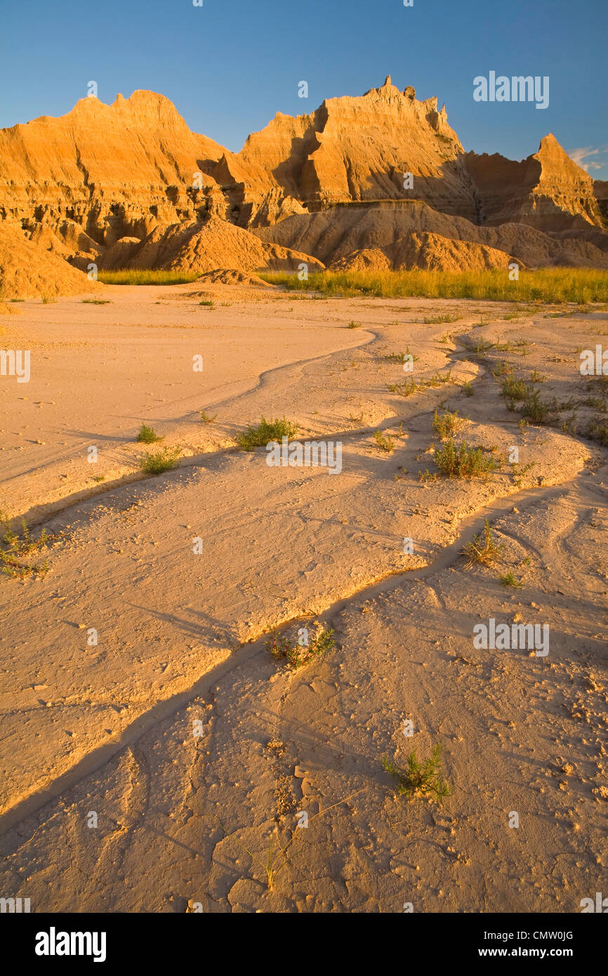 Badlands-Wüste in Badlands Nationalpark, South Dakota, USA. Sommer. Stockfoto