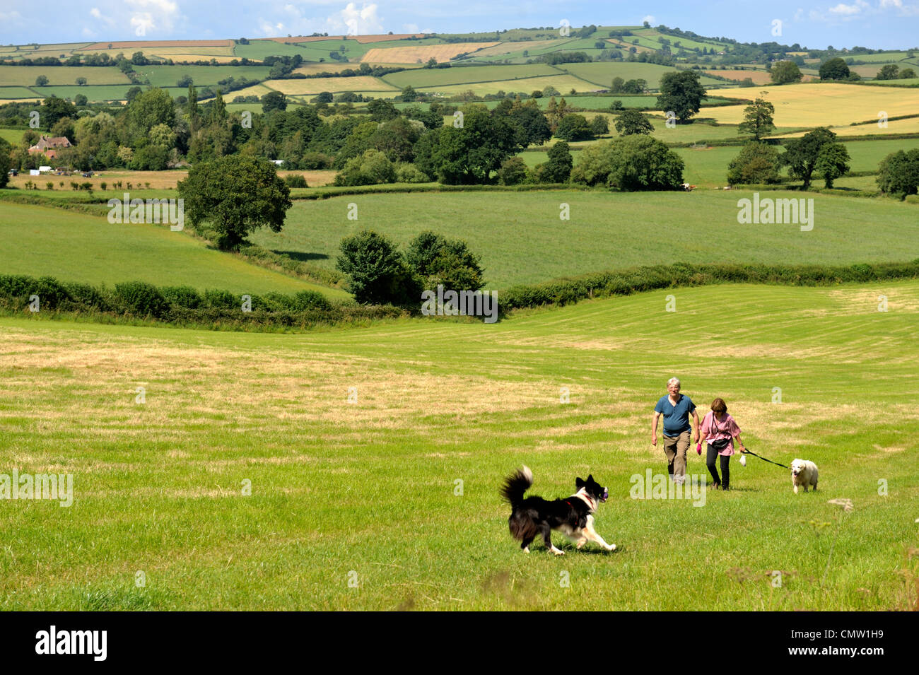 Chew Valley, North Somerset, UK, Landschaft Stockfoto