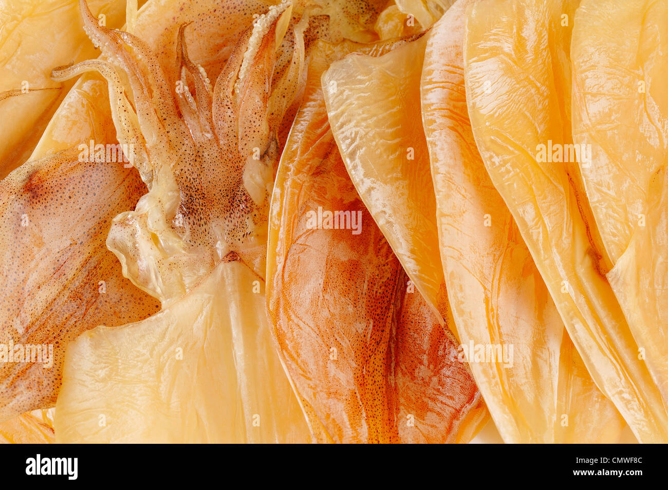 trockenen Tintenfisch Stockfoto