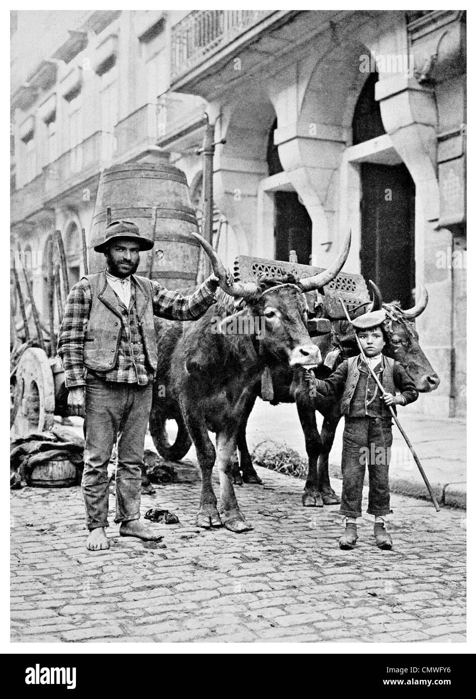 1925 Ochsenkarren in Porto Portugal Stockfoto