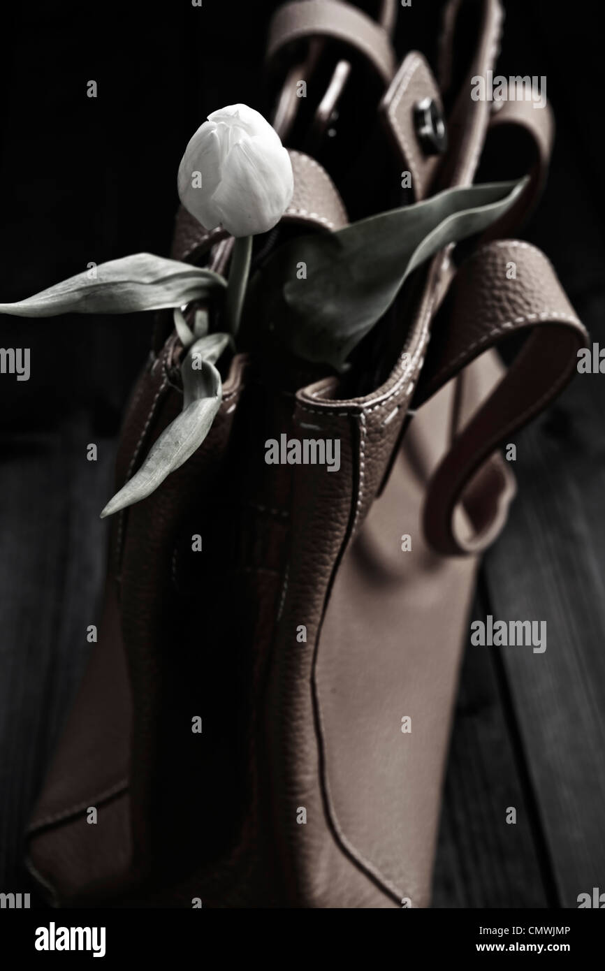 eine Tulpe in der Handtasche Stockfoto