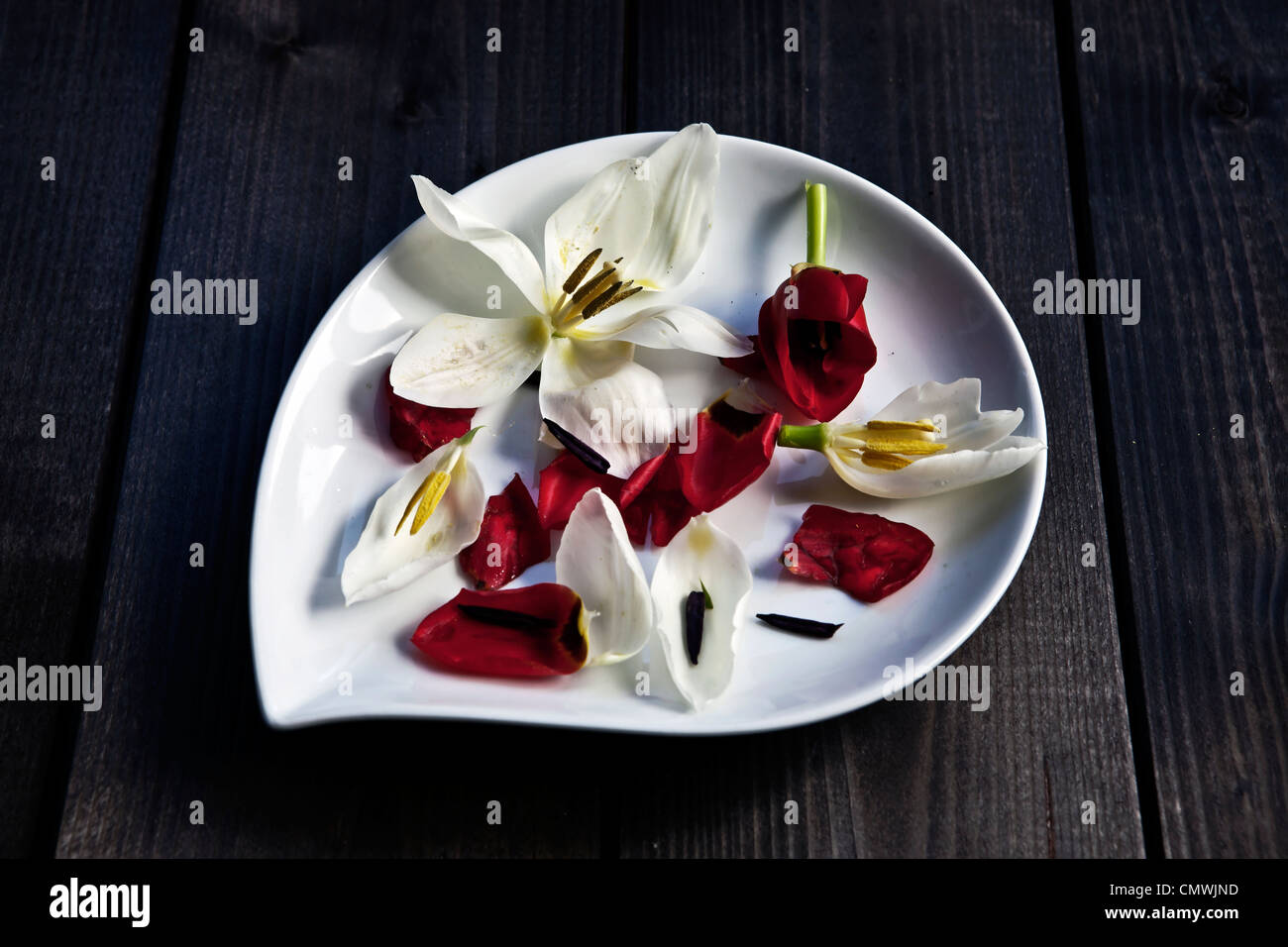 Blütenblätter auf einem weißen Teller Stockfoto