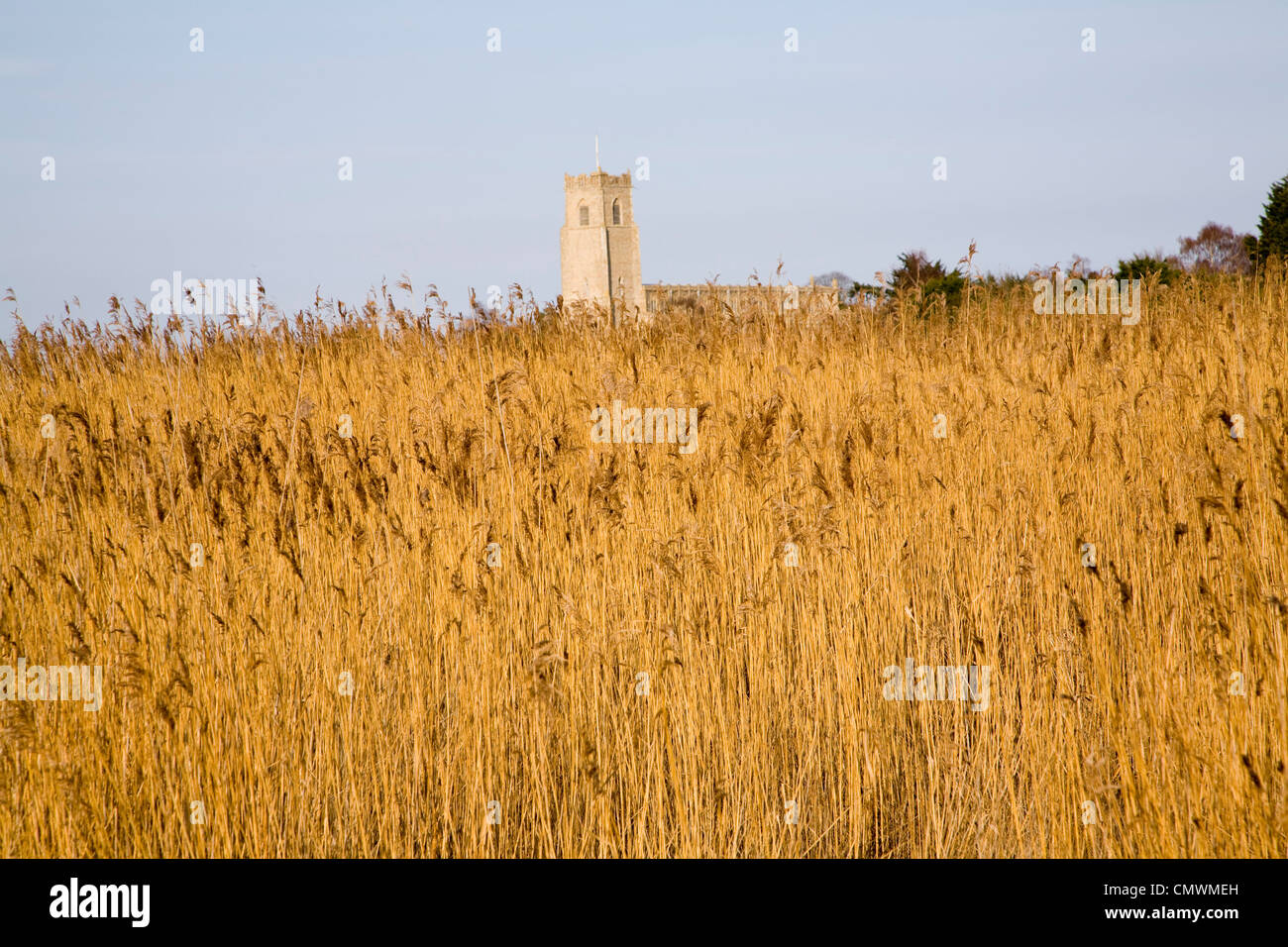 Heilige Dreifaltigkeitskirche Blythburgh Suffolk England angesehen durch Marschland Schilf Stockfoto