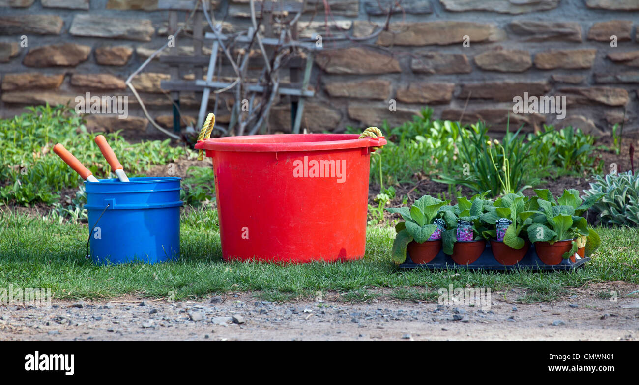 Zwei Garten Eimer ein Werkzeug und eine Palette von Fingerhut. Stockfoto