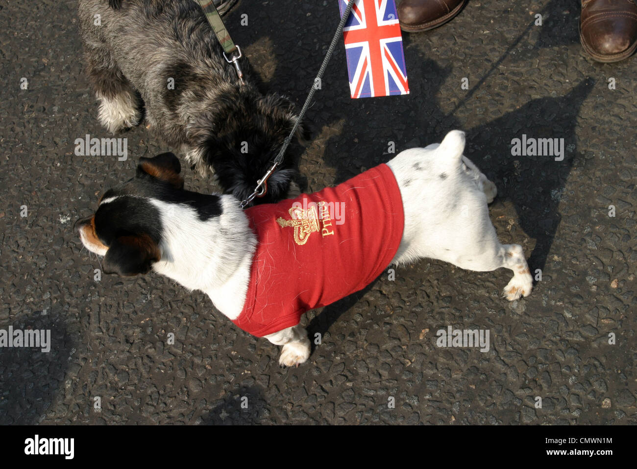 Feiern in der Königin Diamond Jubilee London 2012 Stockfoto