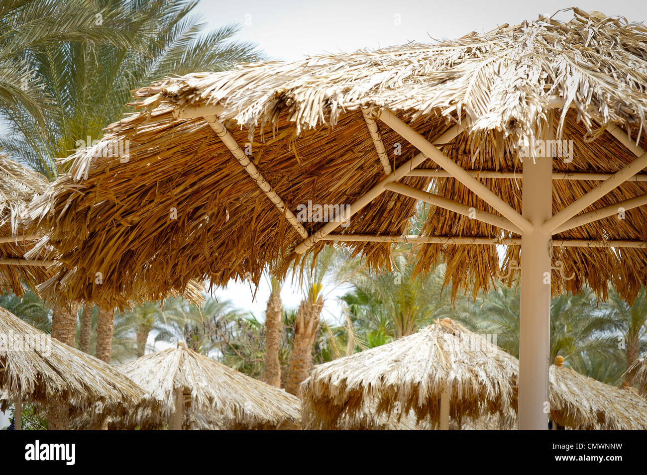 Sonnenschirm auf der beacn Stockfoto