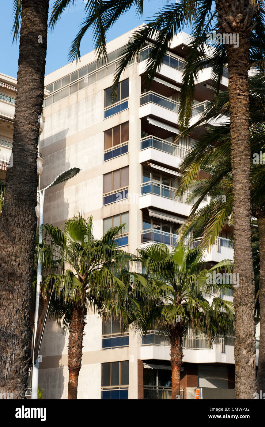 Eine Hotelanlage im Hintergrund durch Palmen blockiert. Stockfoto
