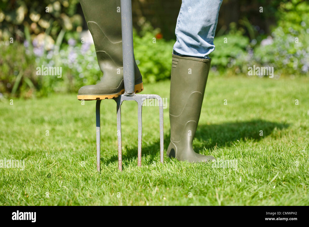 Frau, die den Garten Rasen Vertikutieren, mit einer Gabel Graben Stockfoto