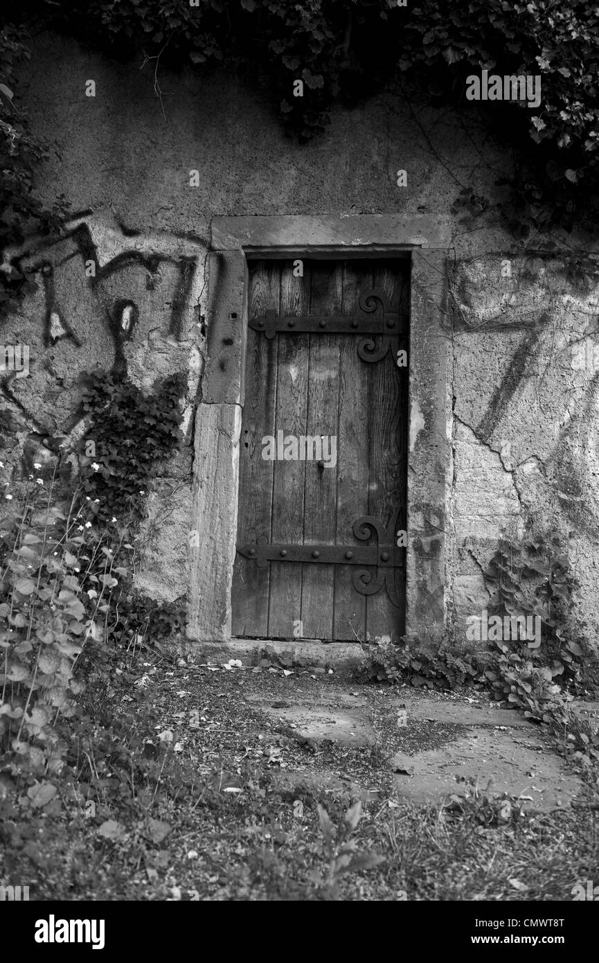 Ein schwarz-weiß Foto eine versteckte Tür zu einem Gebäude mit Graffiti und mit Laub bedeckt. Stockfoto