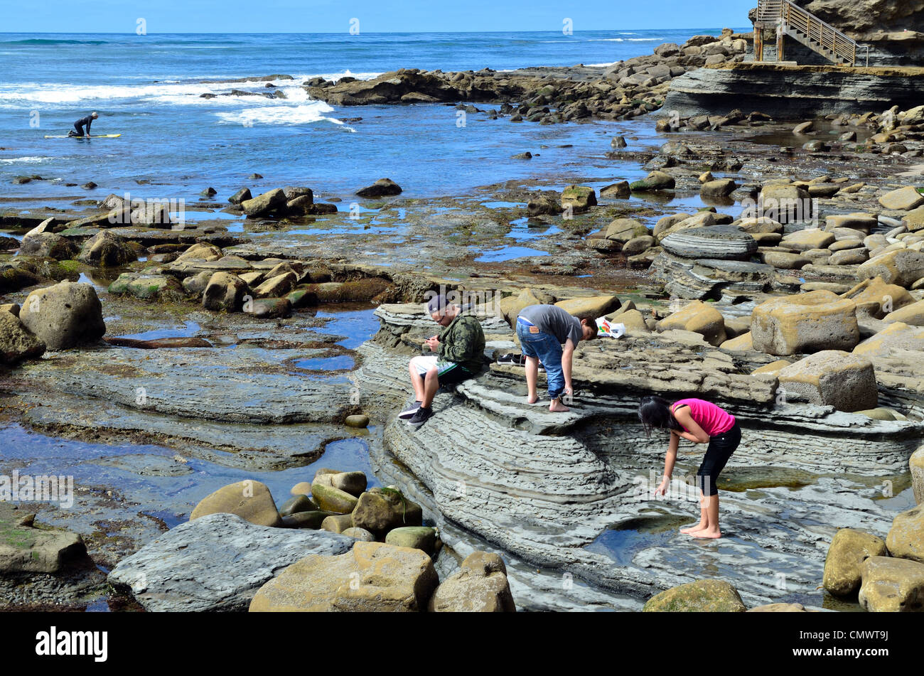 Kinder spielen um felsige Küste. La Jolla, Kalifornien, USA. Stockfoto