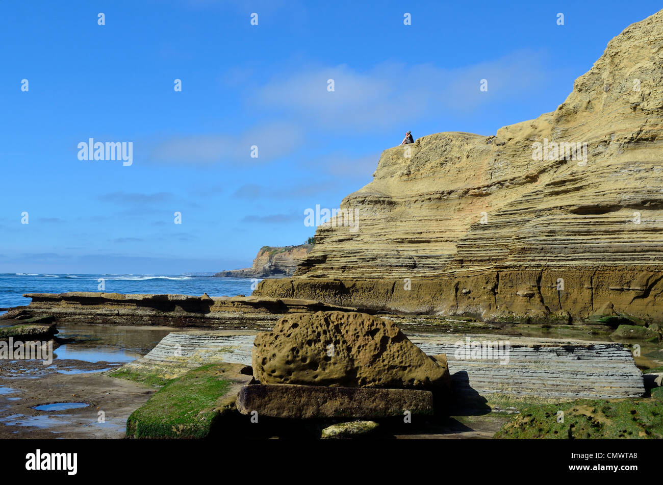 Felswand entlang der kalifornischen Küste. La Jolla, Kalifornien, USA. Stockfoto