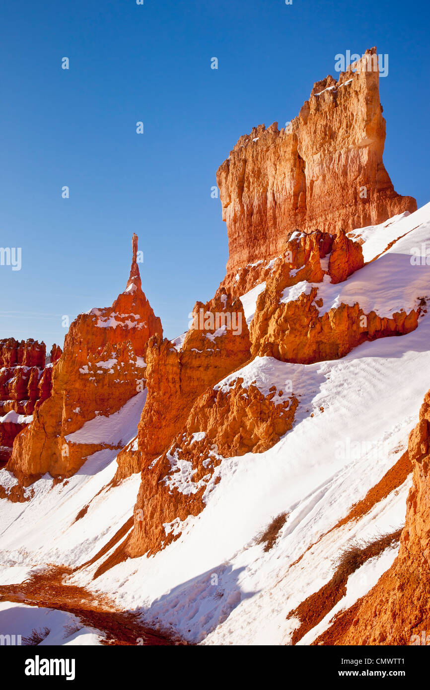 Felsformationen Sie-Hoodoos, am Sunset Point, Bryce-Canyon-Nationalpark, Utah, USA Stockfoto
