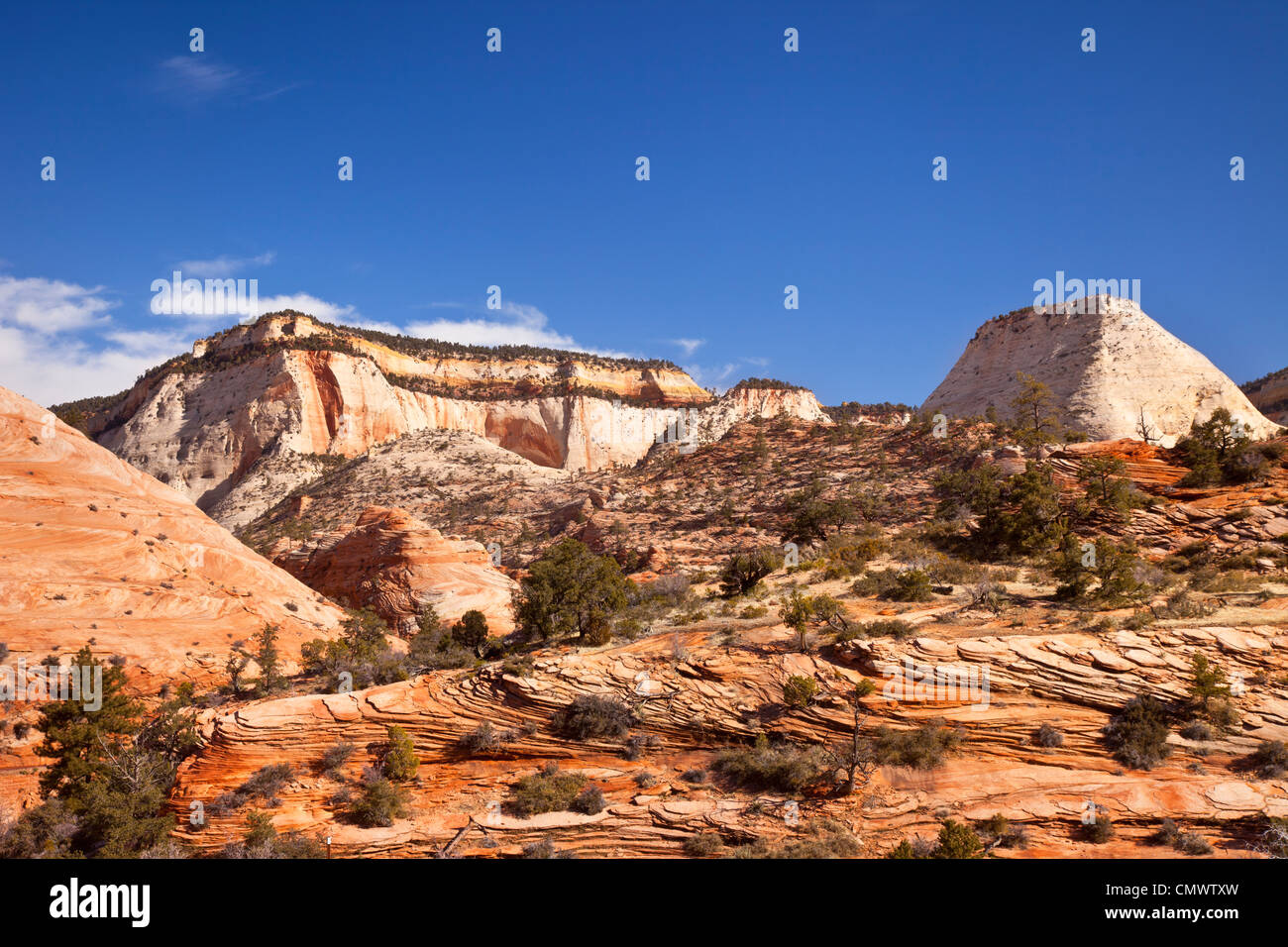Felsformationen, Zion Nationalpark, Utah, USA Stockfoto