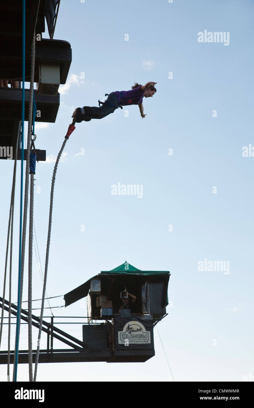 Frau von AJ Hackett bungy Turm springen. Smithfield, Cairns, Queensland, Australien Stockfoto