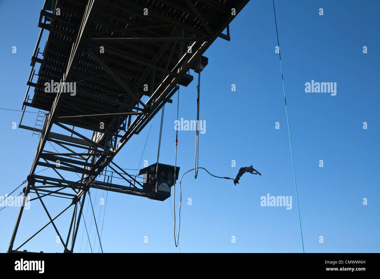 Frau bungy springen vom Bungee-Turm. Smithfield, Cairns, Queensland, Australien Stockfoto