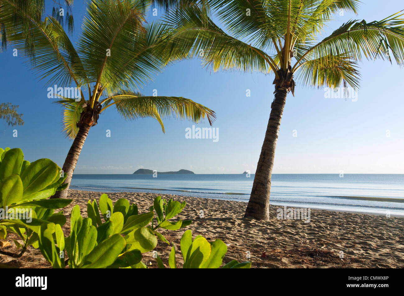Kokospalmen am Strand in der Morgendämmerung mit Doppel-Insel im Hintergrund. Kewarra Beach, Cairns, Queensland, Australien Stockfoto