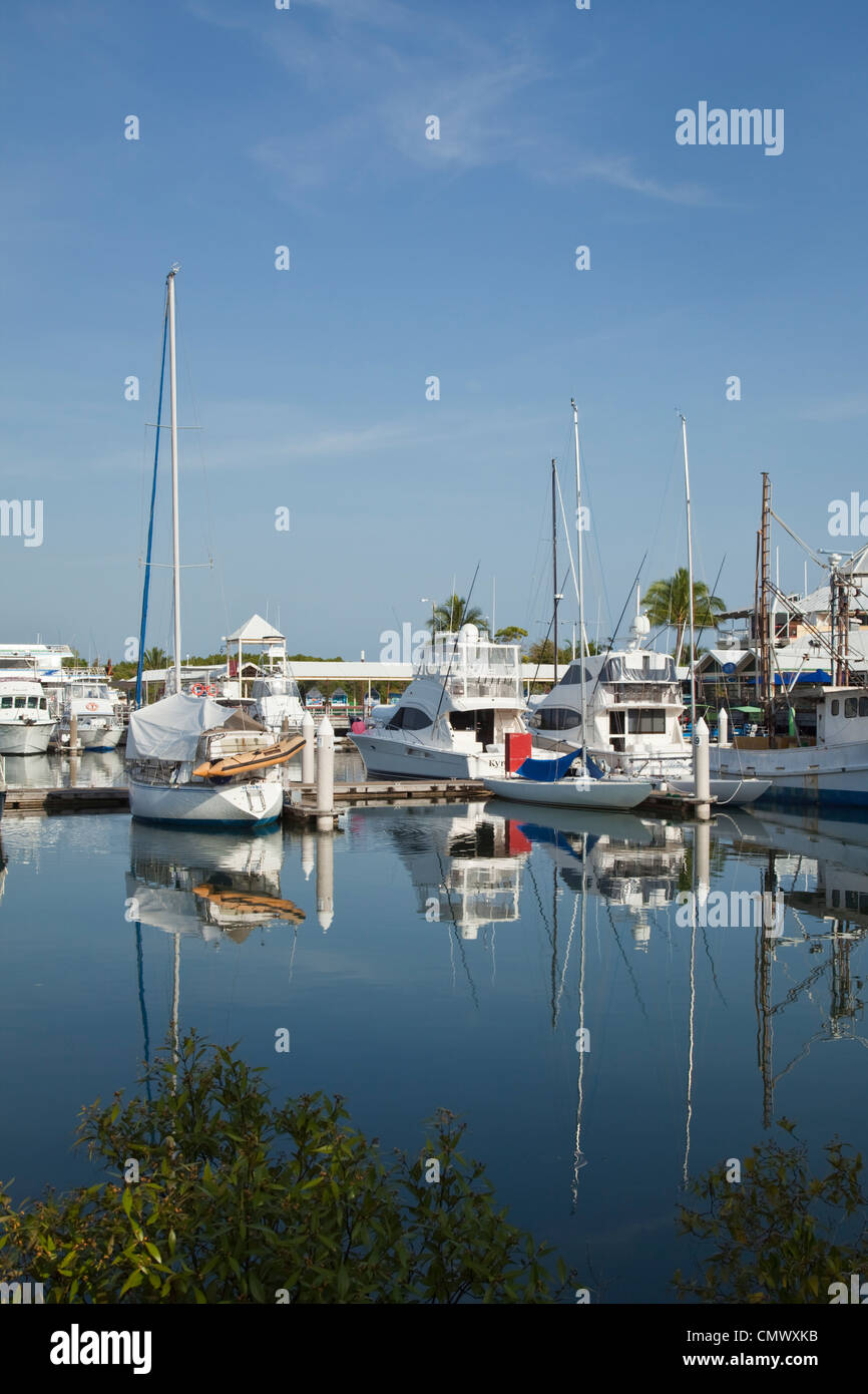 Port Douglas Marina. Port Douglas, Queensland, Australien Stockfoto